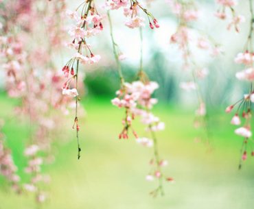 50 Things To Be Grateful For